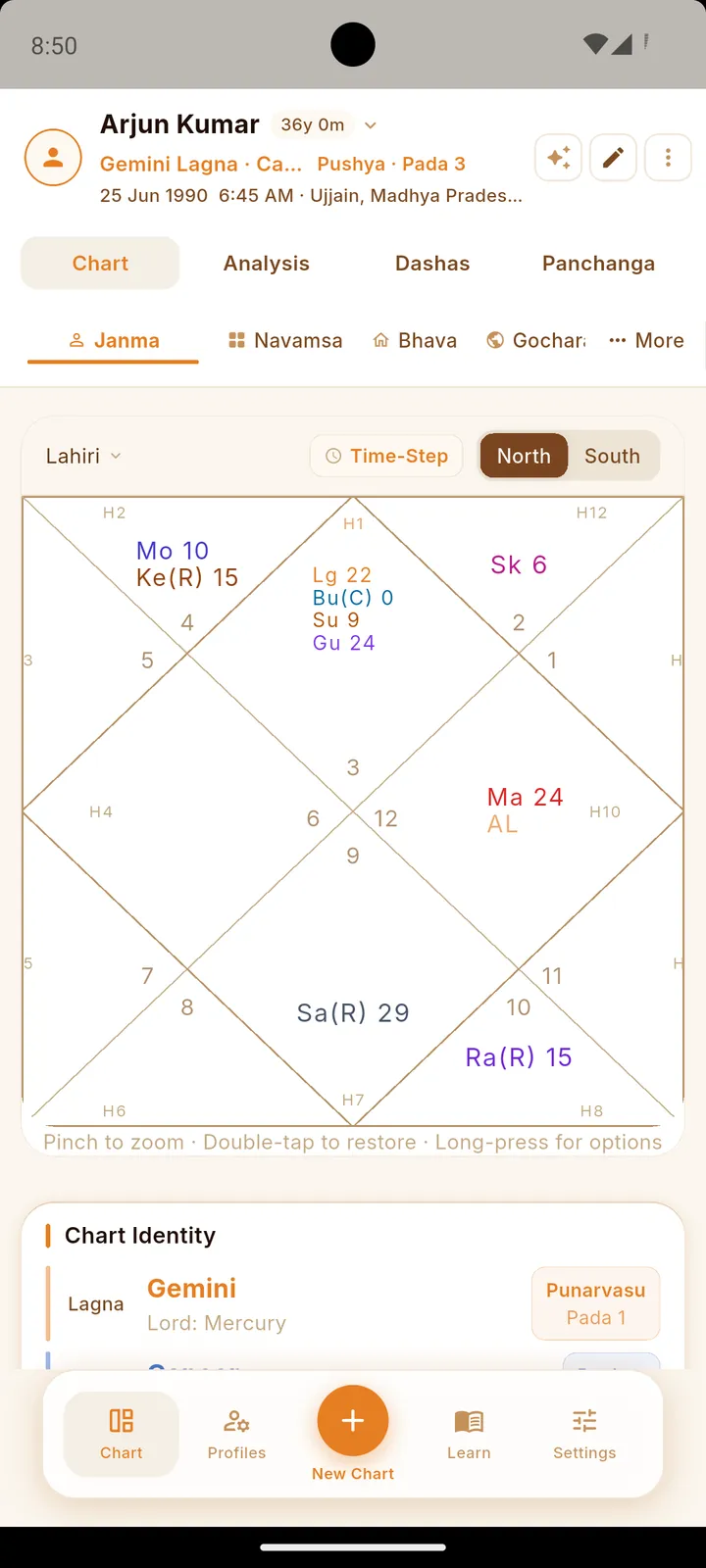 Astro Mitra Kundli screen